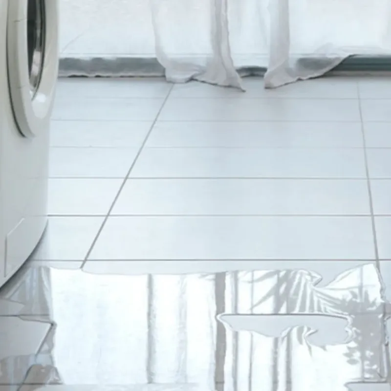 Appliance Leak Cleanup in Manchester, WA