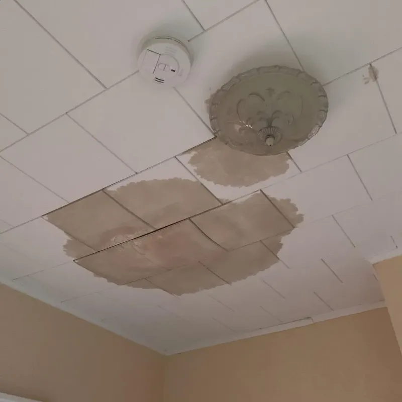 Ceiling Water Damage Repair in Manchester, WA