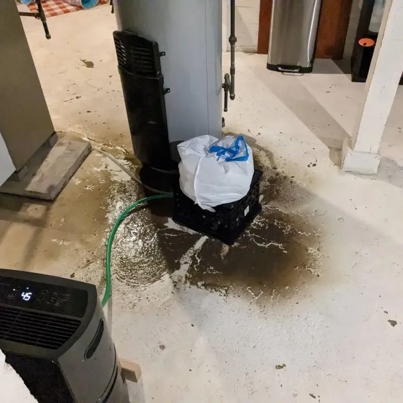 Sewage Backup Cleanup Service in Manchester, WA